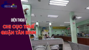 điện thoại chi cục thuế quận tân bình